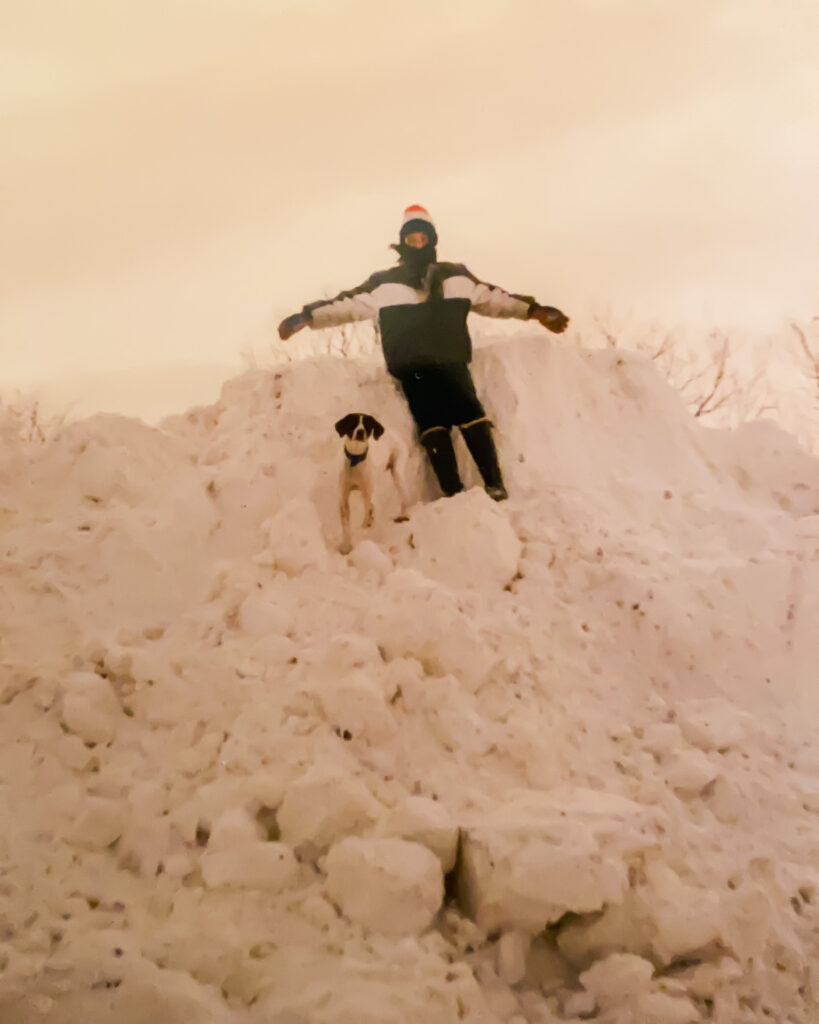 Minnie, Pointer on top of a huge mound of snow in 1996 in the suburbs of New York.