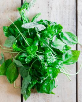Can Dogs Eat Basil? (Safe or Toxic Herb?)