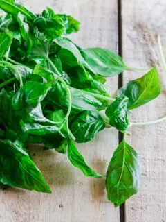 Can dogs eat basil?