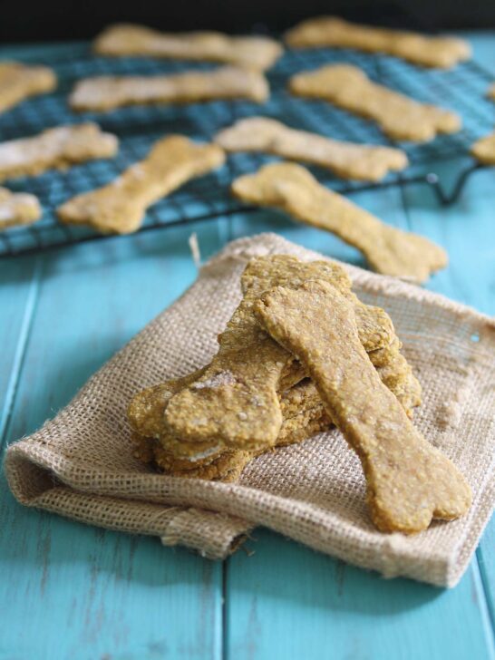 Pumpkin Dog Treats Kitchen + Kennel