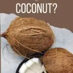 Can dogs eat coconut pin image.