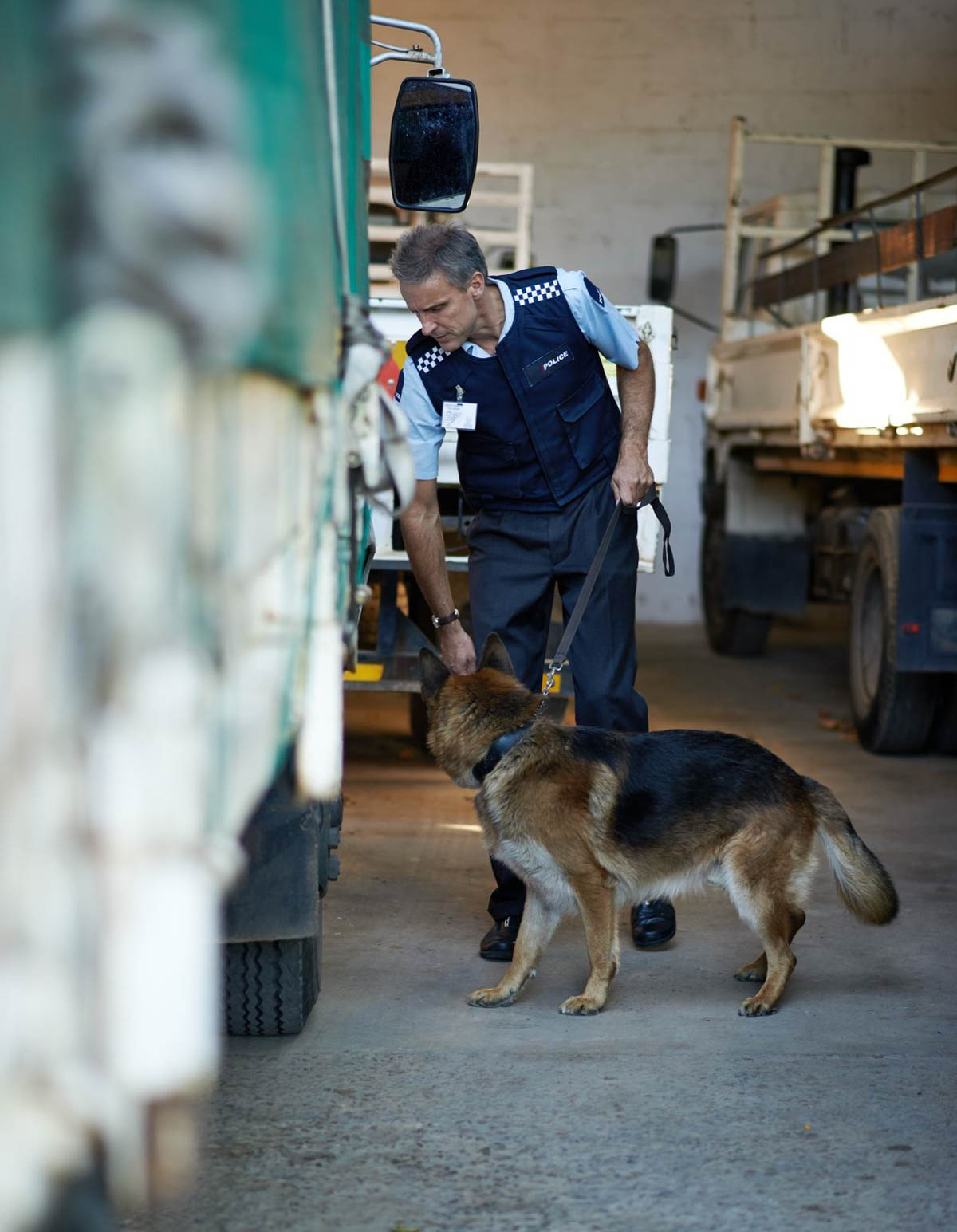 German shepherd police dog on a crime scene.