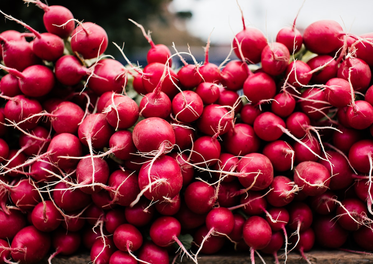 Many red radishes are piled up on a table.