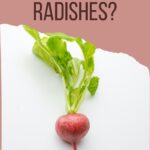 Can dogs eat radishes?