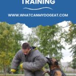 Guide to protection dog training.