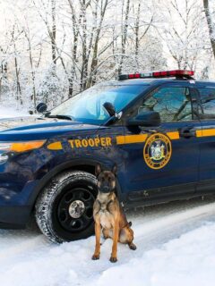 A police car with a dog sitting next to it in the snow.