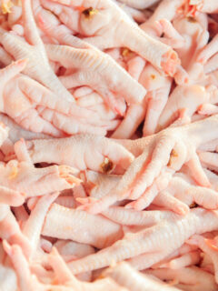 A bunch of raw chicken feet in a box.