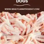 Benefits of chicken feet for dogs.