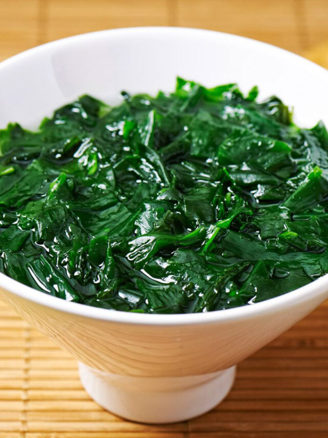 Is Seaweed Safe for Dogs to Eat?