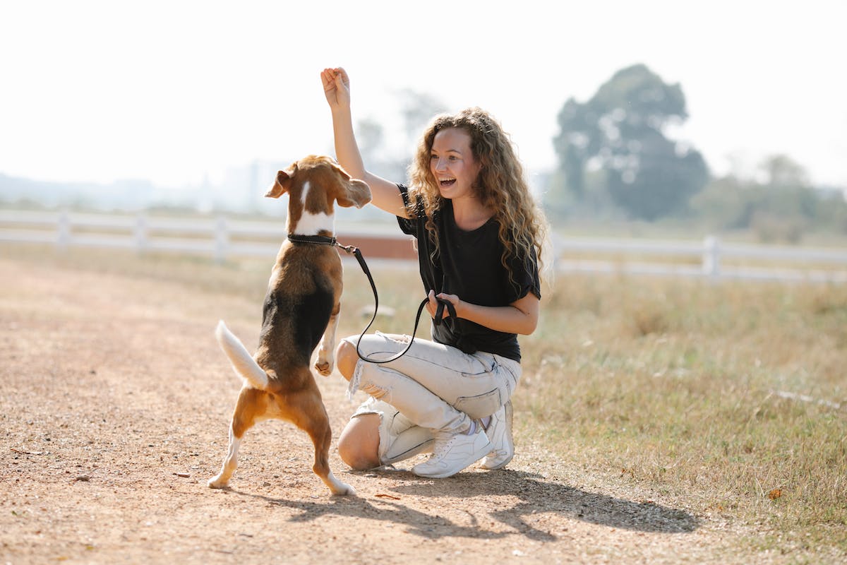 A woman is playing with her dog on a dirt road.
