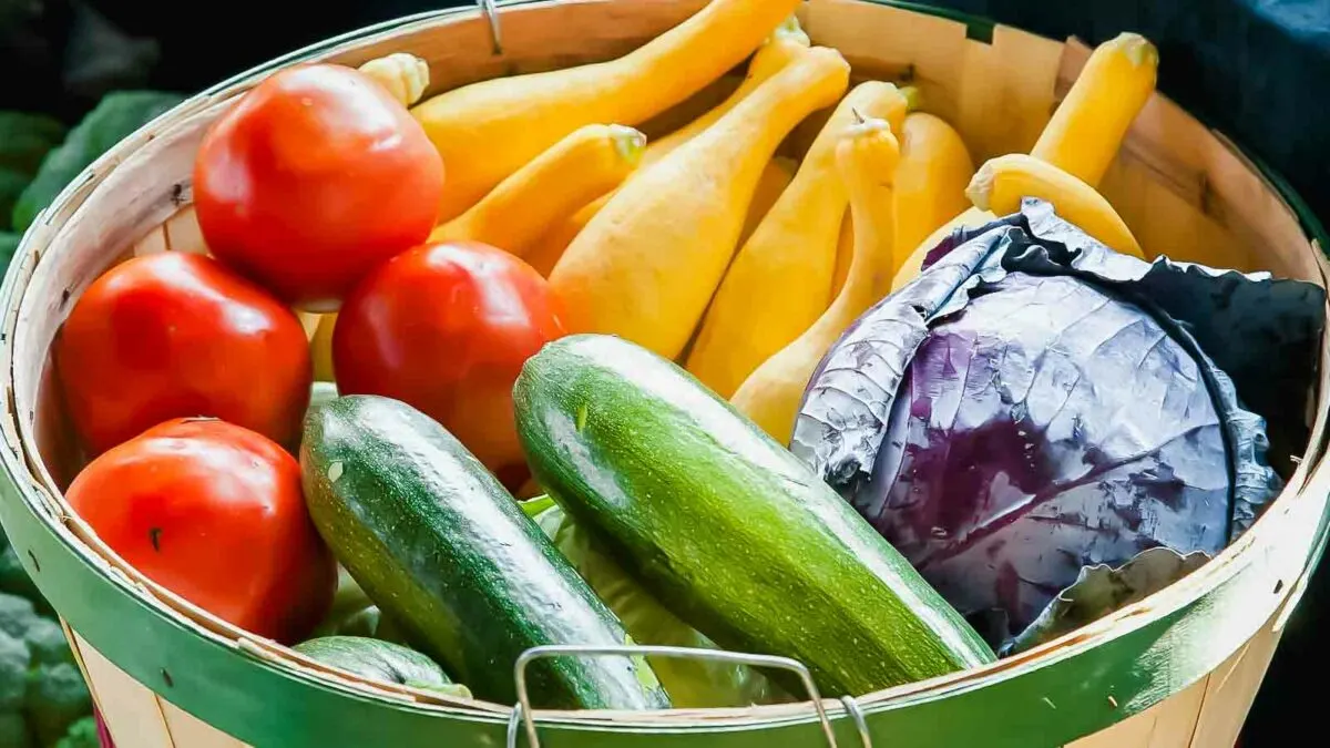 A basket filled with fresh vegetables including tomatoes, yellow squash, zucchini, and a purple cabbage.