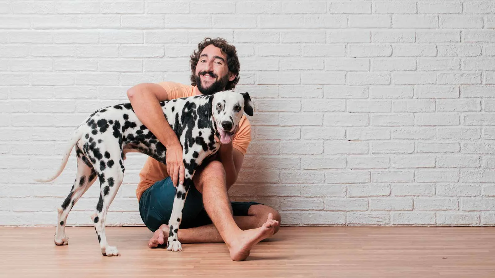 A man with a beard sits on the floor against a white brick wall, smiling and hugging a Dalmatian dog.