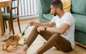 10 Tips to Keep Your Senior Dog Happy and Healthy