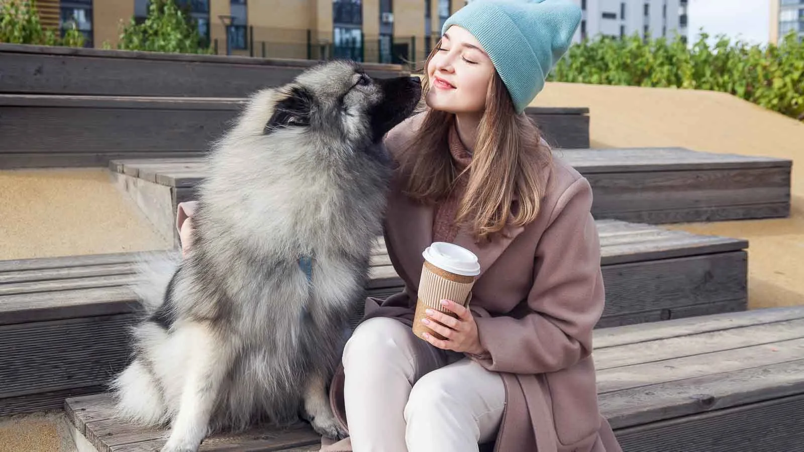 Woman sitting on a bench with a keeshond.