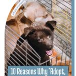 Two puppies in a cage, one brown and one black, looking outward. Text in the image reads "10 Reasons Why 'Adopt, Don't Shop' Isn&rsquo;t Always True." While these affectionate companions seek homes, not every adoption story is perfect. The top corner displays a website name.