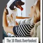 A person joyfully holds a happy dog. The text on the image reads, "The 10 Most Overlooked Dog Breeds That Make Amazing Pets and Aren't Among the Most Annoying to Own.