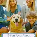 A smiling family of four, including a young boy, girl, and two adults, poses with a happy golden retriever. The image features the text, "12 Fun Facts About Dogs You Probably Didn't Know.