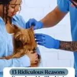 A person wearing blue gloves examines a small, brown dog held by another person, proving that even giant dogs that are big babies can find themselves in the vet's office for the most ridiculous reasons. The text on the image reads, "13 Ridiculous Reasons Dogs Land In The Vet&rsquo;s Office.