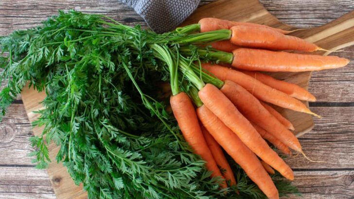 Picture of 9 Foods That Can Improve Your Dog’s Coat And Make It Shinier