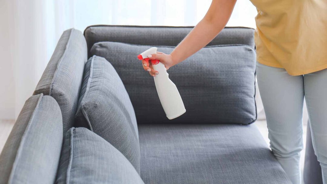 7 Tricks To Get Your Dog To Stop Chewing On Furniture