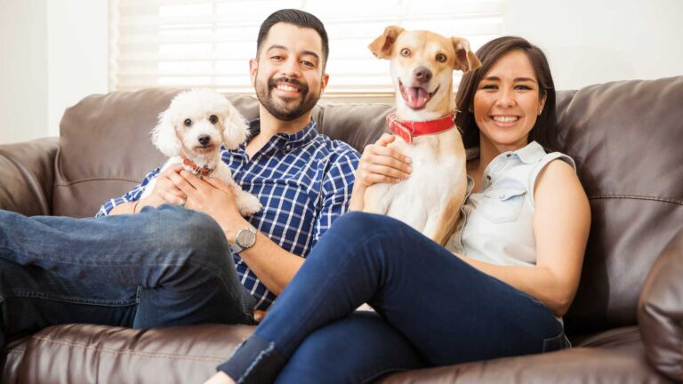 9 Ways To Manage A Multi-Dog Household Without Losing Your Sanity