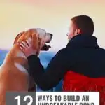 A person and a dog sit on a hilltop at sunset, sharing a moment. Text reads, "13 Ways to Build an Unbreakable Bond with Your Dog" at the bottom. Perfect for dogs for people with weekend plans, find tips at "whatcanmydogeat.com" above.