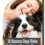 A woman smiles warmly while hugging a black and white dog, who gazes at the camera with an open mouth. Text on the image says, "10 Reasons How Dogs Make Humans Better Every Single Day.