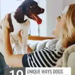 A woman sits on a couch smiling at a happy dog with its tongue out, standing on her lap. Text reads, "10 Unique Ways Dogs Remember the People Who Love Them," highlighting how dogs make humans better. Visit our website for more.