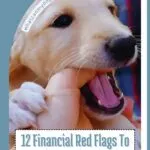 A playful puppy nibbling on a person's finger, with text overlaying the scene: "12 Financial Red Flags To Watch For When Buying A Puppy," against a calming blue and white backdrop. Discover how dogs make humans better&mdash;an investment beyond dollars and cents.