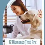 A smiling woman sits at a desk with a golden retriever beside her, both looking at a laptop. Text reads: "12 Moments That Are More Meaningful To Your Dog Than You Think&mdash;discover small changes for a happier and healthier dog.