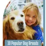 A smiling young girl shares an emotional moment with her golden retriever. Text reads: "10 Popular Dog Breeds That Face Higher Cancer Rates." The website "whatcanmydogeat.com" appears at the top.