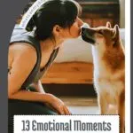 A woman sits on the floor and gently kisses the nose of a Shiba Inu dog in a cozy bedroom, capturing the emotional moments between dog and human. Text on the image reads: "13 Emotional Moments Every Dog Owner Has Experienced.