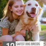 A young girl smiles and hugs a large, friendly golden retriever outdoors. Text on the image reads, “12 Safest Dog Breeds to Have Around Kids.” The website whatcanmydogeat.com is displayed at the top, highlighting the benefits of dogs for seniors and families alike.