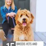 A woman sits on a porch behind a fluffy, happy-looking dog&mdash;one of those breeds that won't let you feel lonely. Text on the image reads: "15 breeds vets and trainers say to think twice about." Website URL appears at the top.