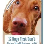 A close-up of a brown dog with sad eyes and droopy ears, accompanied by the text "12 Odd Dog Breeds That Don&rsquo;t Cope Well Being Left Alone.