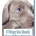 A close-up of a light brown puppy with blue eyes next to text that reads, “8 Things You Should Know Before Bringing Home a Puppy,” including common misconceptions about dog food, and a website link whatcanmydogeat.com.