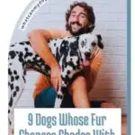 A smiling man hugs a Dalmatian dog with black and white fur. Text reads, "9 Dogs Whose Fur Changes Shades With Age." Discover how dogs for mental health support can bring joy at whatcanmydogeat.com.