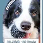 A black and white dog holds a spiky rubber ball in its mouth. Text overlay reads: "10 High-IQ Dogs That’ll Keep You On Your Toes"—even calm dogs with hidden needs—and "whatcanmydogeat.com" on a blue and white background.