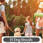 A family with a dog stands outdoors facing a forest, wearing casual and hiking gear. Text overlay reads: "15 Dog Breeds That Fit Right Into Active Weekend Plans&mdash;and tips on how to help your dog live longer.