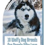 A Siberian Husky with blue eyes stands in a snowy landscape. Text reads "10 Wolfy Dog Breeds for People Who Love the Husky Look" with signs your dog sees you as leader at whatcanmydogeat.com above.