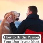 A man in a dark jacket lovingly touches a golden retriever&rsquo;s face outdoors at sunset. Text reads: "How to Build Trust with Your Dog in 13 Simple Steps" and "WHATCANMYDOGEAT.COM" at the top.