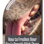 Close-up of a dog's open mouth showing its teeth and tongue, with text overlay: "How to Freshen Your Dog’s Breath With These 8 Everyday Foods and Dog Breath Home Remedies." Website name is seen on the top left.