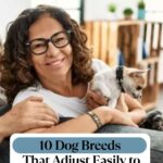 A smiling woman with curly hair and glasses holds a small dog while sitting on a couch. Text overlay reads: "10 Dog Breeds That Adjust Easily to Quieter Living Spaces—featuring insights from American dog breeds history.