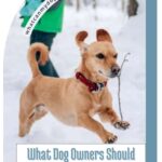 A small brown dog with a red collar runs through snow carrying a stick, while a person in a green jacket walks behind. Text reads: "What Dog Owners Should Know Before Heading Out on Winter Walks—plus a nod to American dog breeds history.