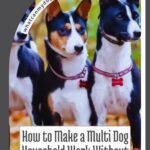 Two alert Basenji dogs—one of the dog breeds that almost vanished from history—stand outdoors, wearing collars. The image features the text: “How to Make a Multi Dog Household Work Without Losing Your Mind” and whatcanmydogeat.com at the top.