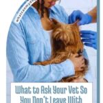 A woman holding a small brown dog while a person in blue gloves examines the dog; text reads, "What to Ask Your Vet So You Don't Leave With More Questions Than Answers—especially if you have rare dog breeds that almost vanished from history.