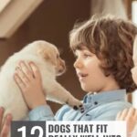A young child holding a small, fluffy puppy indoors, both looking at each other happily. Text overlay reads: "12 Dog Breeds That Almost Vanished From History, But Fit Really Well Into Busy Family Life.