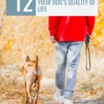 A person in a red jacket walks a brown dog—one of the most emotionally intuitive dog breeds—on a leafy path with autumn colors. Text reads: "12 Simple Ways to Boost Your Dog’s Quality of Life. whatcanmydogeat.com.