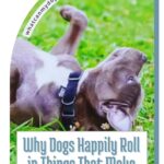 A dog with a black collar rolls on its back in green grass. Text reads, “Why Dogs Happily Roll in Things That Make Us Gag.” Featuring insights about emotionally intuitive dog breeds, the website whatcanmydogeat.com is displayed at the top.