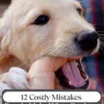 A light-colored puppy playfully bites a person’s finger. Text on the image reads, “12 Costly Mistakes People Make When Buying a Puppy.” Discover how avoiding these mistakes can also open up dog related side hustles for extra income.